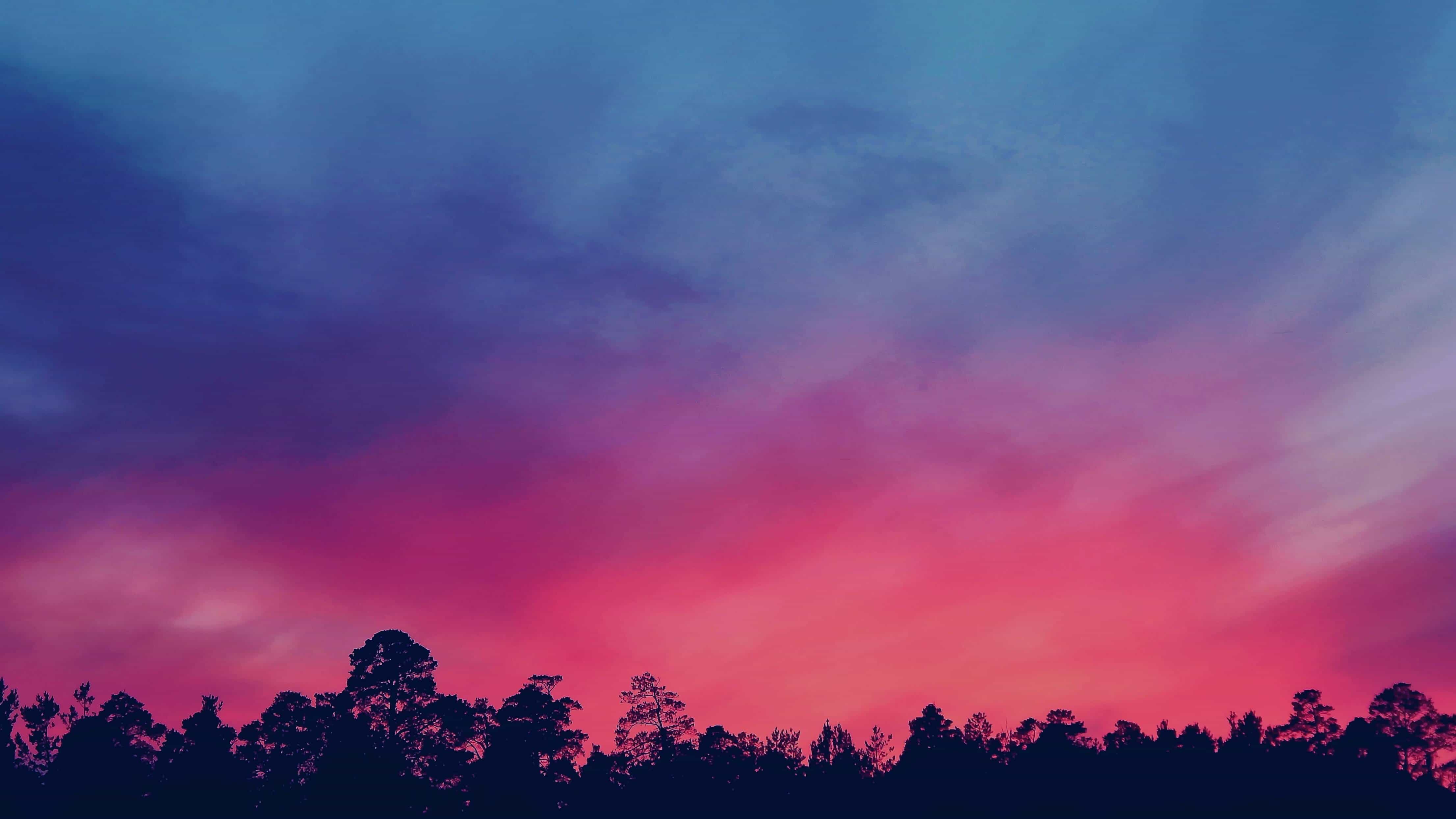 home-banner-background